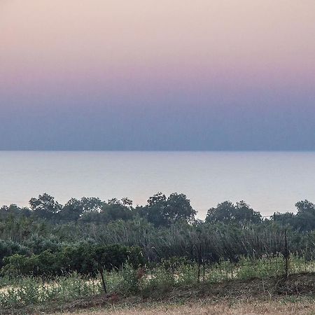 Villa Manoutsio Episkopi-Chania Esterno foto